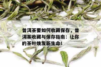 普洱茶要如何收藏保存，普洱茶收藏与保存指南：让你的茶叶焕发新生命！