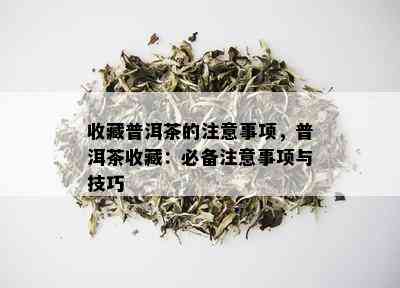 收藏普洱茶的注意事项，普洱茶收藏：必备注意事项与技巧