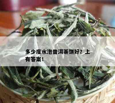 多少度水泡普洱茶饼好？上有答案！