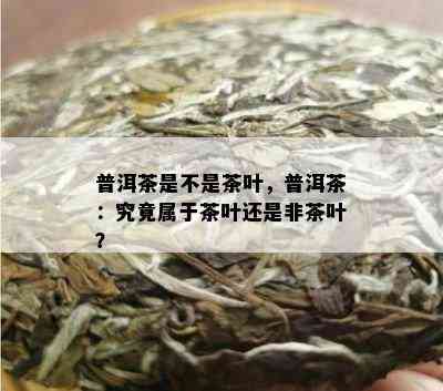 普洱茶是不是茶叶，普洱茶：究竟属于茶叶还是非茶叶？