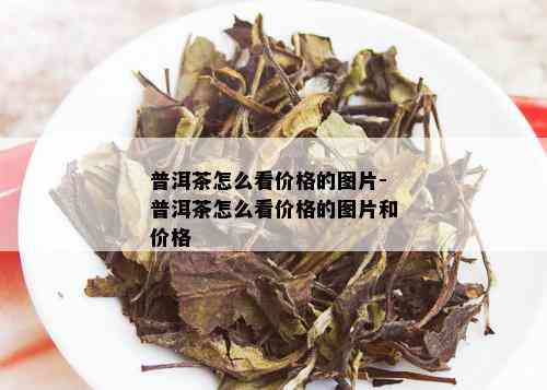 普洱茶怎么看价格的图片-普洱茶怎么看价格的图片和价格