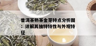 普洱茶熟茶金芽特点分析图：详解其独特特性与外观特征