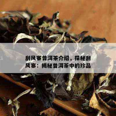 刮风寨普洱茶介绍，探秘刮风寨：揭秘普洱茶中的珍品