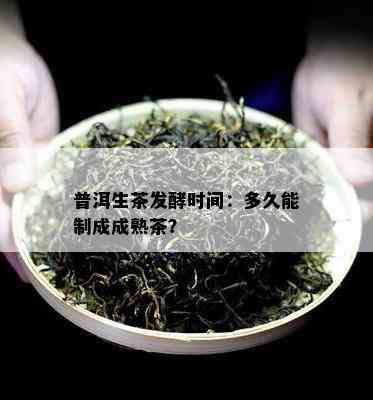 普洱生茶发酵时间：多久能制成成熟茶？