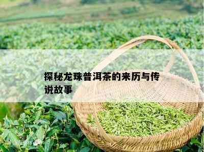 探秘龙珠普洱茶的来历与传说故事