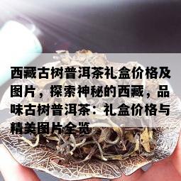  *** 古树普洱茶礼盒价格及图片，探索神秘的 *** ，品味古树普洱茶：礼盒价格与精美图片全览