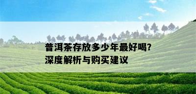 普洱茶存放多少年更好喝？深度解析与购买建议