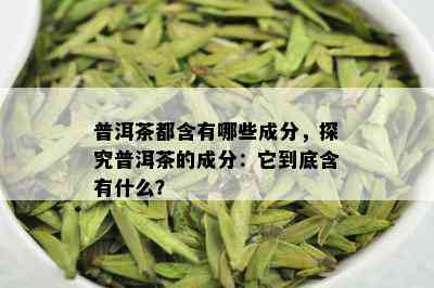 普洱茶都含有哪些成分，探究普洱茶的成分：它到底含有什么？