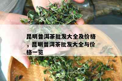 昆明普洱茶批发大全及价格，昆明普洱茶批发大全与价格一览