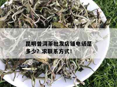 昆明普洱茶批发店铺电话是多少？求联系方式！