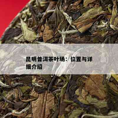 昆明普洱茶叶场：位置与详细介绍