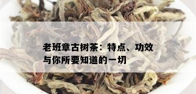 老班章古树茶：特点、功效与你所要知道的一切