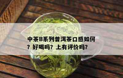 中茶B系列普洱茶口感如何？好喝吗？上有评价吗？