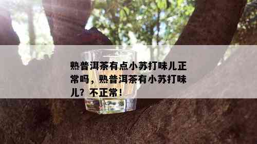 熟普洱茶有点小苏打味儿正常吗，熟普洱茶有小苏打味儿？不正常！