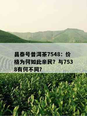 昌泰号普洱茶7548：价格为何如此亲民？与7538有何不同？