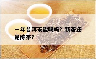 一年普洱茶能喝吗？新茶还是陈茶？