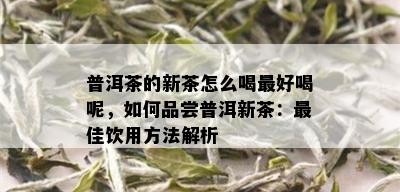 普洱茶的新茶怎么喝更好喝呢，如何品尝普洱新茶：更佳饮用方法解析