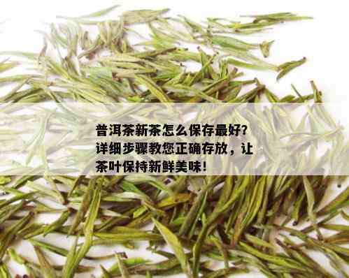 普洱茶新茶怎么保存更好？详细步骤教您正确存放，让茶叶保持新鲜美味！