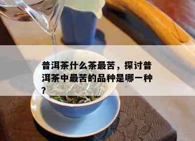 普洱茶什么茶最苦，探讨普洱茶中最苦的品种是哪一种？