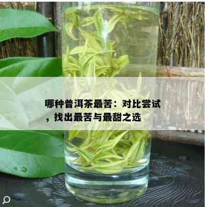 哪种普洱茶最苦：对比尝试，找出最苦与最甜之选