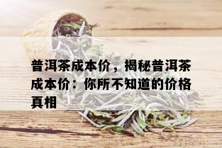 普洱茶成本价，揭秘普洱茶成本价：你所不知道的价格真相