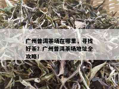 广州普洱茶场在哪里，寻找好茶？广州普洱茶场地址全攻略！