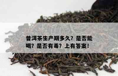 普洱茶生产期多久？是否能喝？是否有？上有答案！