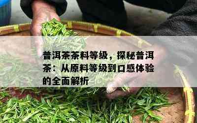 普洱茶茶料等级，探秘普洱茶：从原料等级到口感体验的全面解析