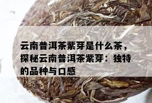 云南普洱茶紫芽是什么茶，探秘云南普洱茶紫芽：独特的品种与口感