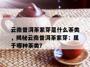 云南普洱茶紫芽是什么茶类，揭秘云南普洱茶紫芽：属于哪种茶类？