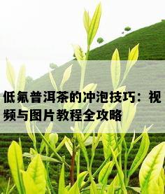 低氟普洱茶的冲泡技巧：视频与图片教程全攻略