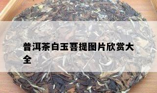 普洱茶白玉菩提图片欣赏大全