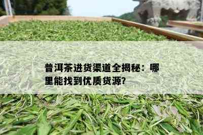 普洱茶进货渠道全揭秘：哪里能找到优质货源？