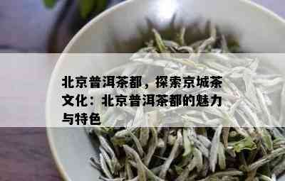 北京普洱茶都，探索京城茶文化：北京普洱茶都的魅力与特色