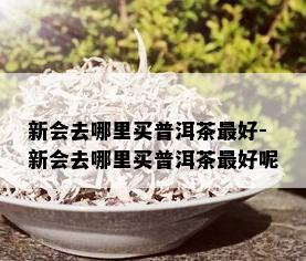 新会去哪里买普洱茶更好-新会去哪里买普洱茶更好呢