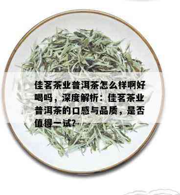 佳茗茶业普洱茶怎么样啊好喝吗，深度解析：佳茗茶业普洱茶的口感与品质，是否值得一试？