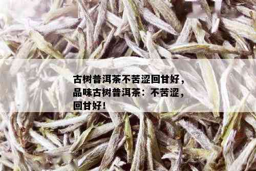 古树普洱茶不苦涩回甘好，品味古树普洱茶：不苦涩，回甘好！