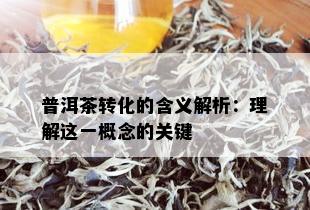 普洱茶转化的含义解析：理解这一概念的关键