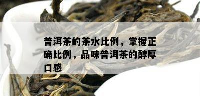 普洱茶的茶水比例，掌握正确比例，品味普洱茶的醇厚口感