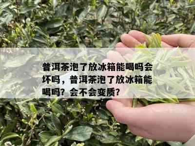 普洱茶泡了放冰箱能喝吗会坏吗，普洱茶泡了放冰箱能喝吗？会不会变质？