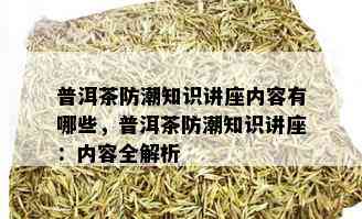 普洱茶防潮知识讲座内容有哪些，普洱茶防潮知识讲座：内容全解析