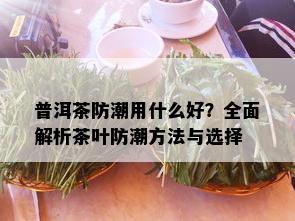 普洱茶防潮用什么好？全面解析茶叶防潮方法与选择