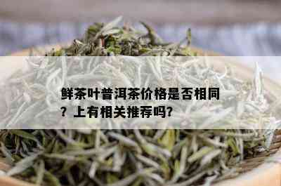 鲜茶叶普洱茶价格是否相同？上有相关推荐吗？