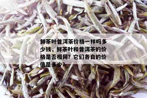 鲜茶叶普洱茶价格一样吗多少钱，鲜茶叶和普洱茶的价格是否相同？它们各自的价值是多少？