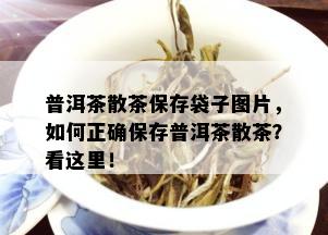 普洱茶散茶保存袋子图片，如何正确保存普洱茶散茶？看这里！