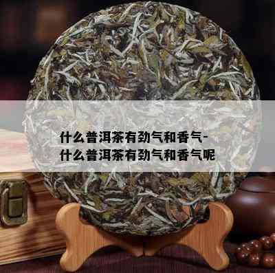 什么普洱茶有劲气和香气-什么普洱茶有劲气和香气呢