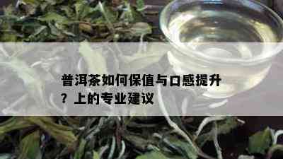 普洱茶如何保值与口感提升？上的专业建议