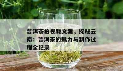 普洱茶拍视频文案，探秘云南：普洱茶的魅力与制作过程全纪录