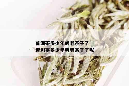 普洱茶多少年叫老茶子了-普洱茶多少年叫老茶子了呢