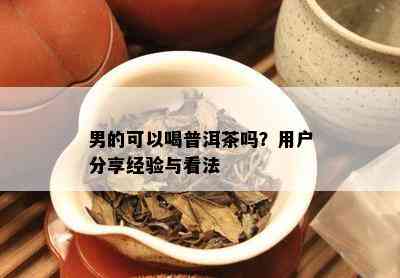 男的可以喝普洱茶吗？用户分享经验与看法